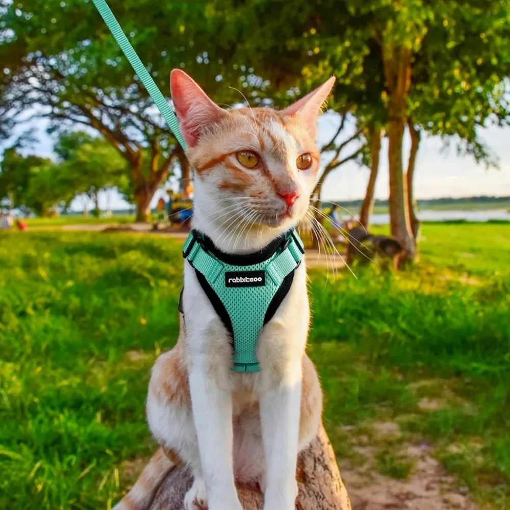 rabbitgoo Cat Harness and Leash for Walking, Escape Proof Soft Adjustable Vest